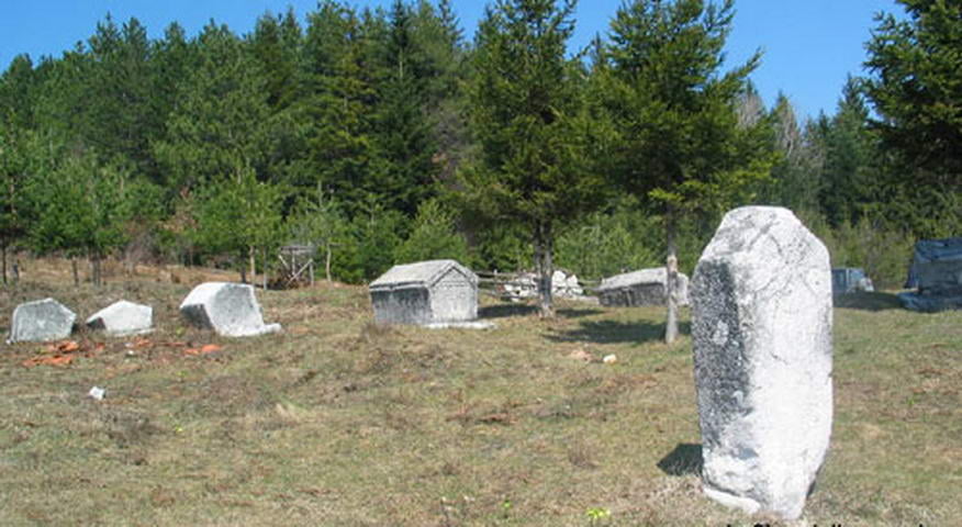 1136366623_resize