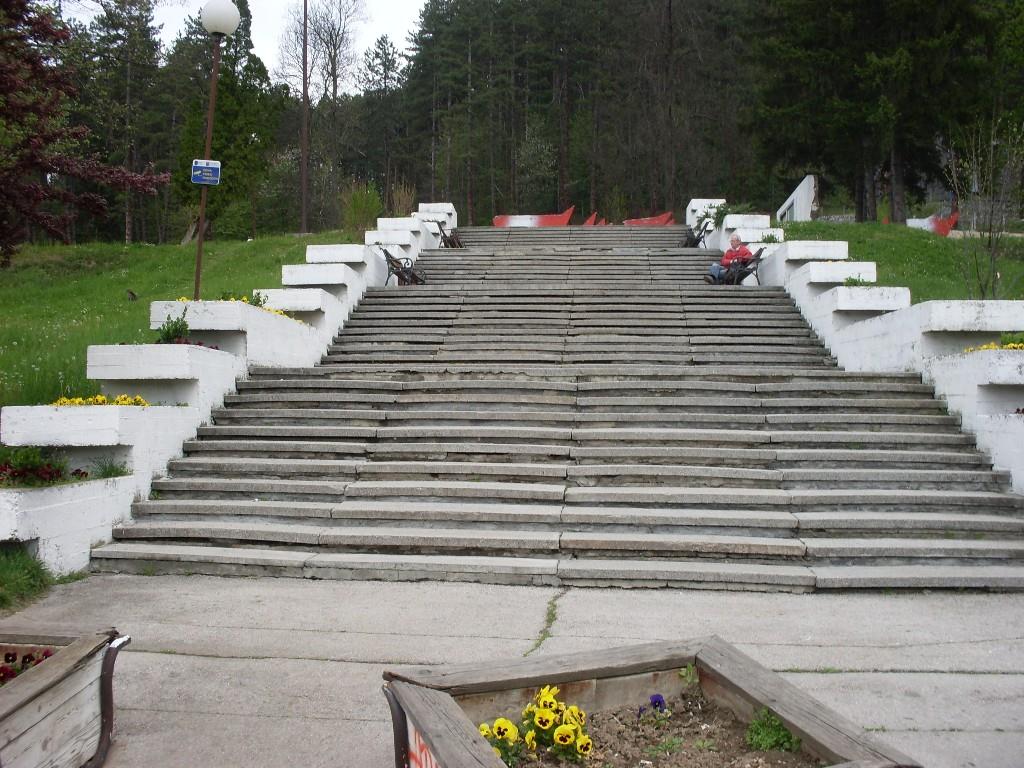 SDC13148